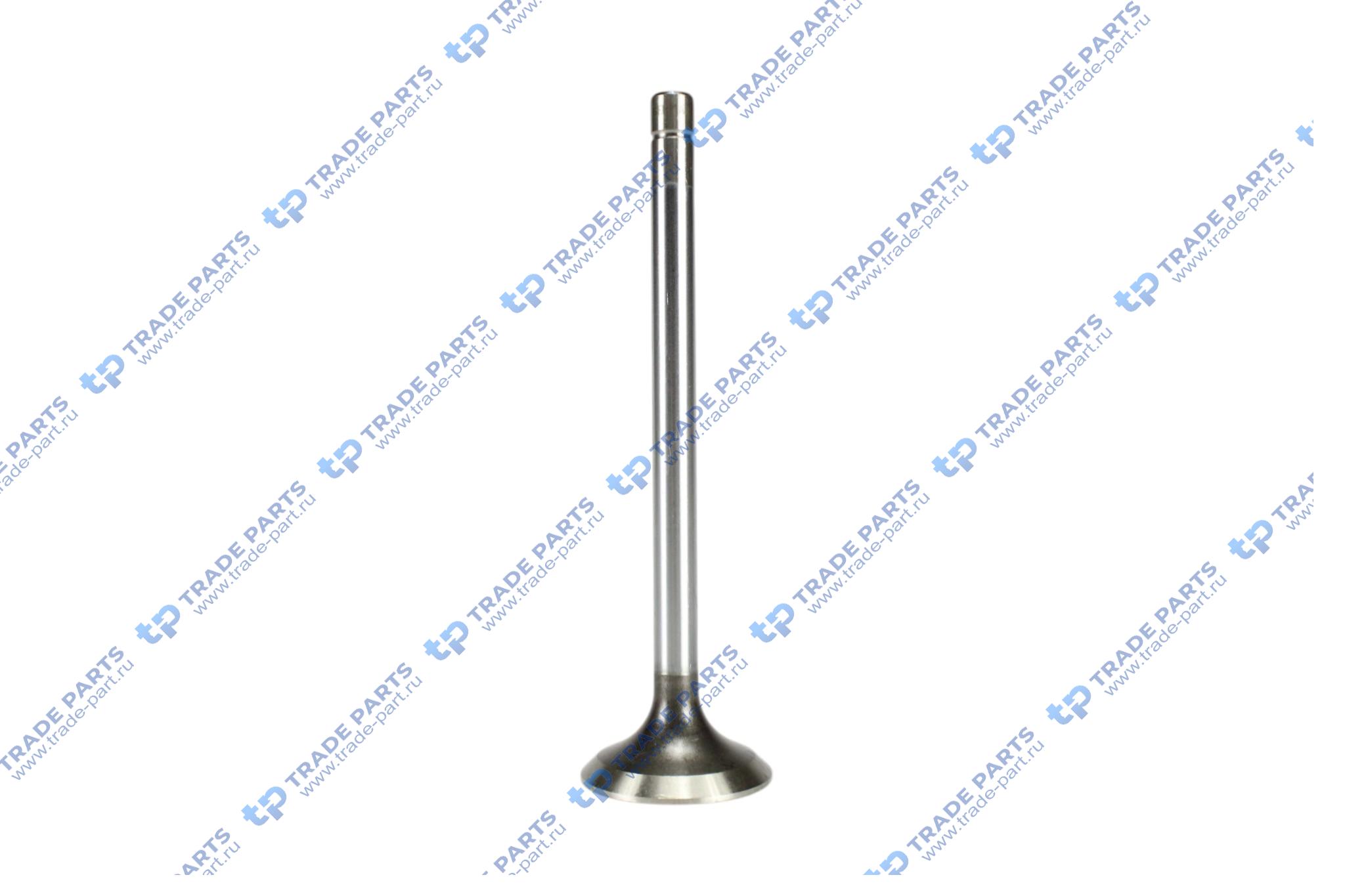 Реальная фотография клапан выпускной iveco