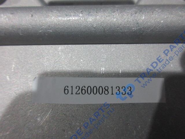 Реальная фотография кронштейн топливных фильтров 612600081334 двс (wp10)