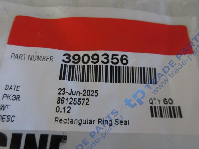 Реальная фотография кольцо уплотнительное форсунки