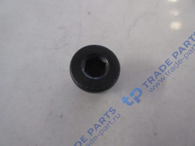 Реальная фотография пробка резьбовая головки блока sitrak mc11/mc13