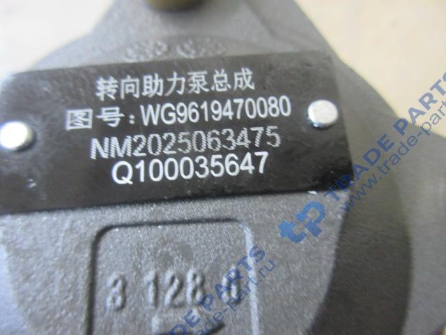 Реальная фотография насос гур z=17 zf8095