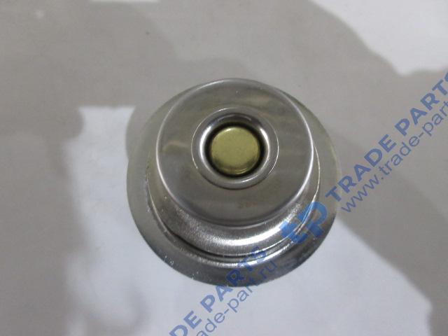 Реальная фотография термостат 82°с