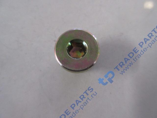 Реальная фотография заглушка m18x1,5-st-gb/t 5267.1-оцинкованная sitrak mc11/mc13 качество о