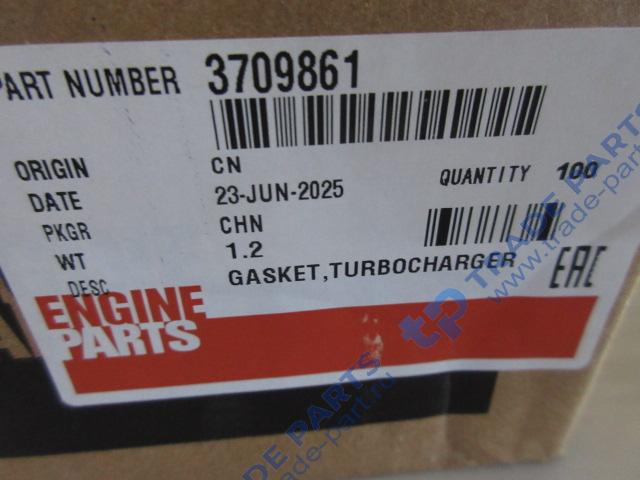 Реальная фотография прокладка турбины