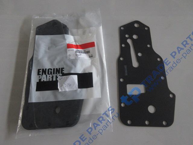 Реальная фотография прокладка головки масляного фильтра (прокладка теплообменника передняя)