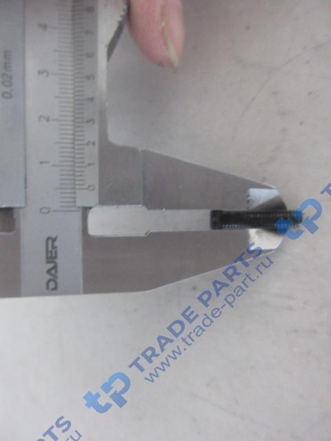 Реальная фотография винт с выпуклой головкой и крестообразным шлицем качество о