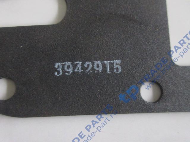 Реальная фотография прокладка головки масляного фильтра (прокладка теплообменника передняя)