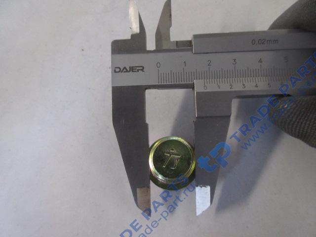 Реальная фотография заглушка m18x1,5-st-gb/t 5267.1-оцинкованная sitrak mc11/mc13 качество о