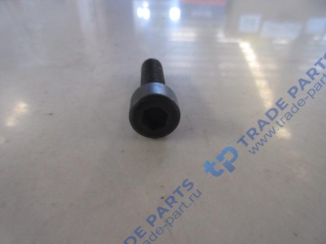 Реальная фотография болт m8*30-10.9 с цилиндрической головкой и внутренним шестигранником sitrak mc11/mc13 качество о