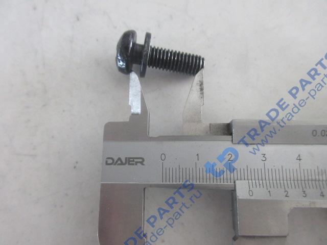 Реальная фотография винт с выпуклой головкой и крестообразным шлицем и плоская шайба в комплекте качество о