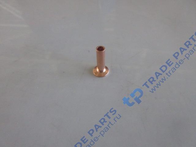 Заклепка тормозной накладки D6*22mm FAW