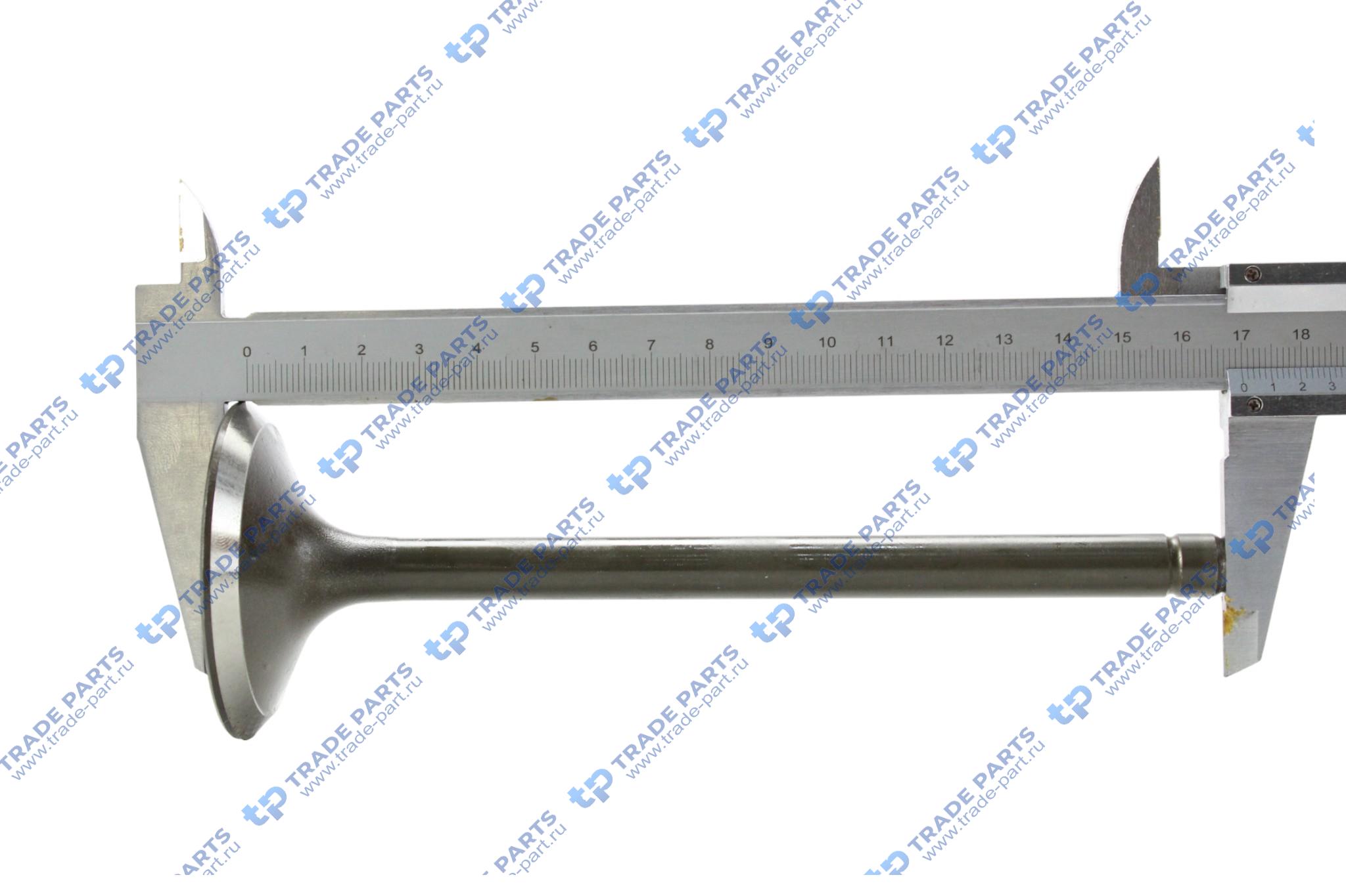 Реальная фотография клапан впускной volvo td120 - td123 (59 x 11 x 170)