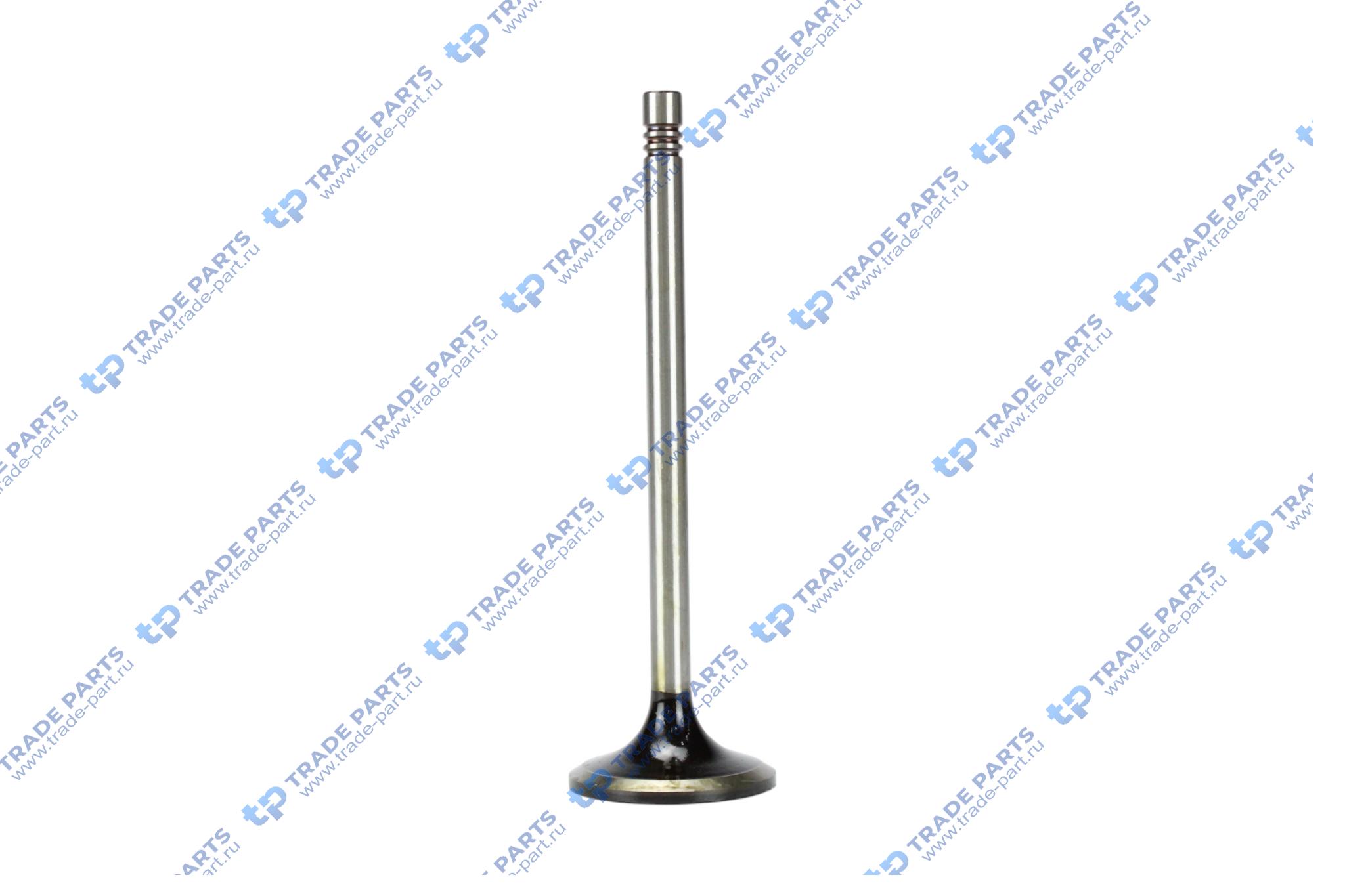 Реальная фотография впускной клапан