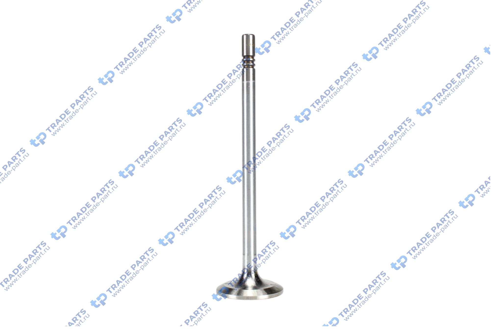 Клапан впускной Deutz TCD2013 8x38.2x145.9 30°