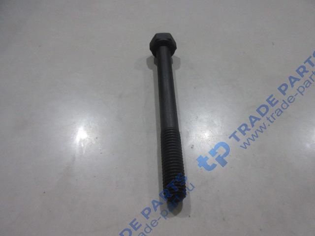 Реальная фотография болт коренной шейки 13037380/12164651/13037380/4110000054157