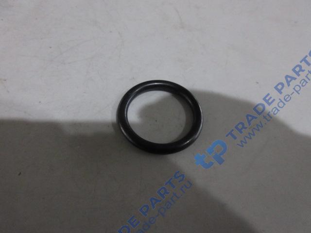 Реальная фотография кольцо уплотнительное стакана форсунки 41100005613