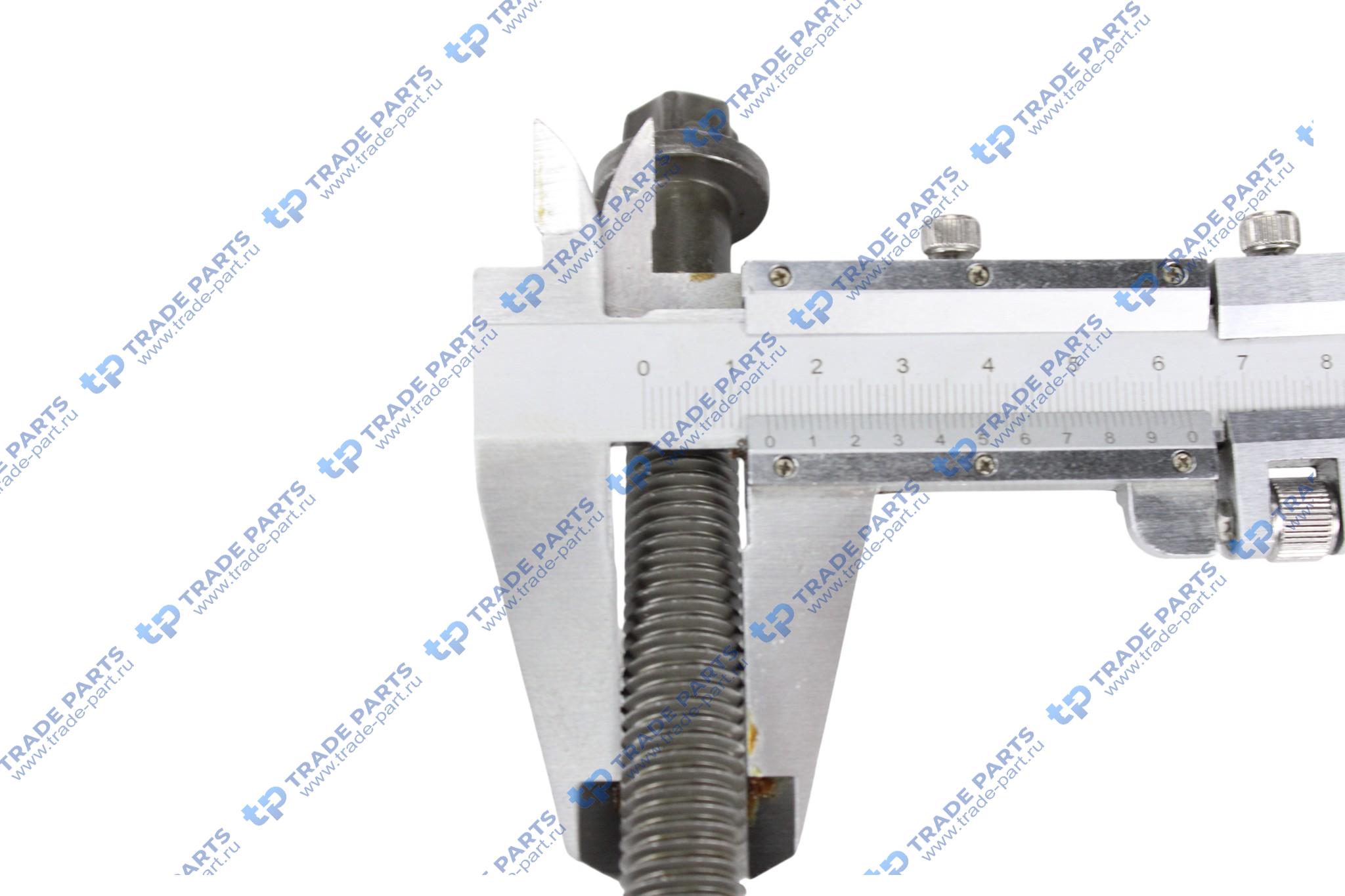 Реальная фотография болт гбц| m14x141 /deutz