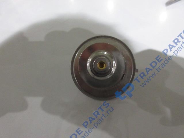 Реальная фотография термостат 4930315