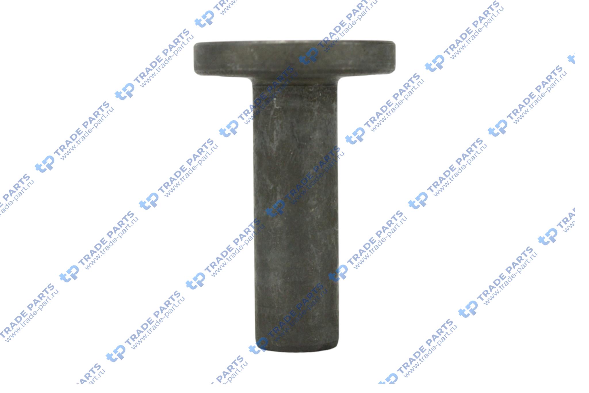 Реальная фотография толкатель клапана isce