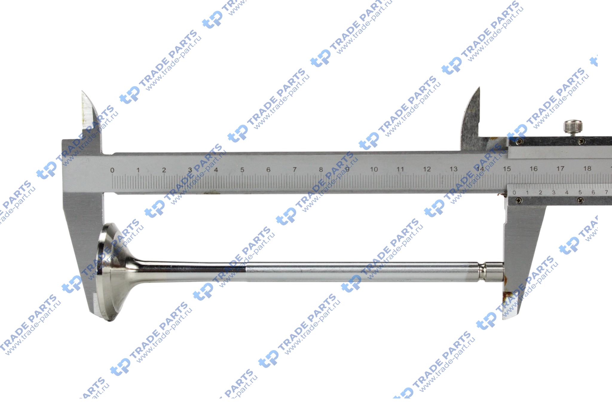 Реальная фотография клапан выпускной 38/8/152,5 mm 36° mb actros/axor дв. om906 la