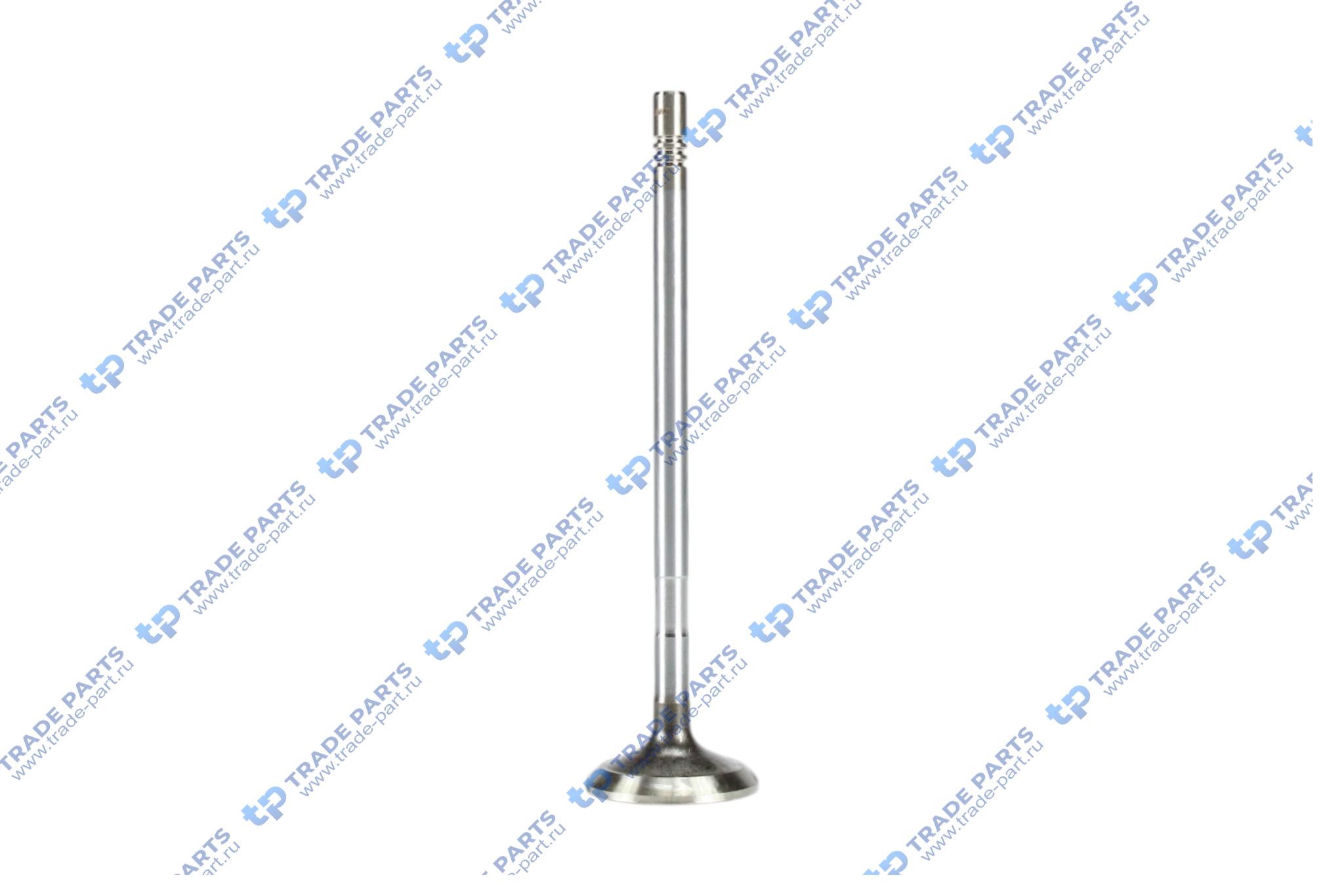 Реальная фотография клапан выпускной 30x6x120.35 45град.iveco daily f1ae0481b 02>