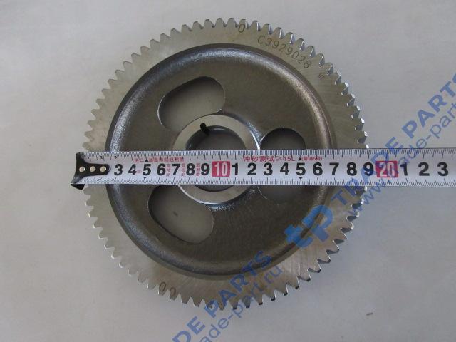 Реальная фотография шестерня распредвала