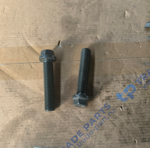 Реальная фотография болт шатуна wp13.480e501 (m14x1.5 l=69) (200001047) oem