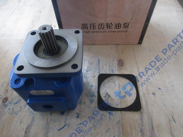 Реальная фотография насос гидравлический одинарный jhp3160c /4120001968