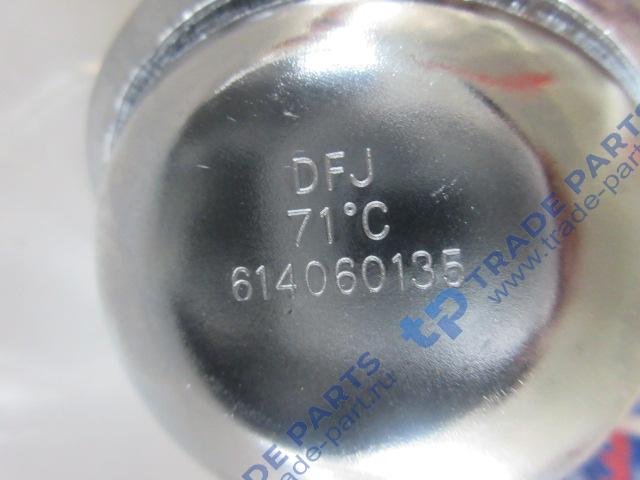 Реальная фотография термостат в сборе wd10 61500060116 612600060133