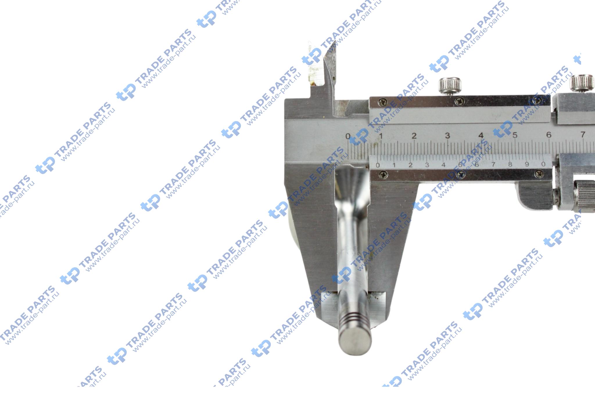 Реальная фотография клапан впускной deutz tcd2013 2v 9x48x135.5