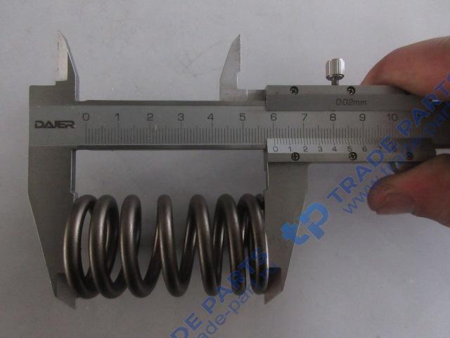 Реальная фотография пружина клапана качество о