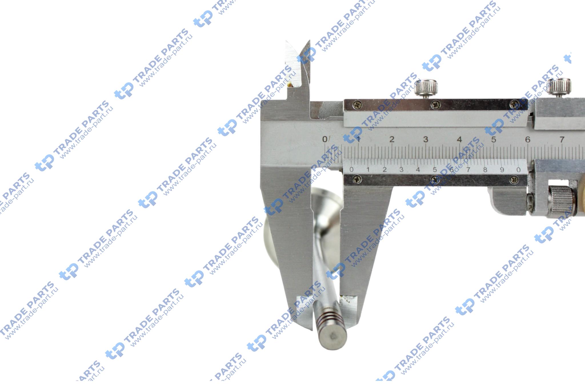 Реальная фотография клапан впускной deutz bf 3m/4m 1011/f 8x41.1x124.7 45 град.