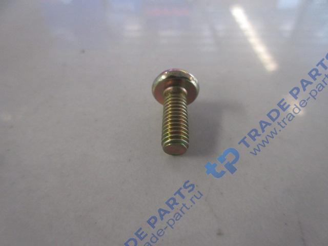 Реальная фотография винт м6х16х1 howo t5g, sitrak c7h