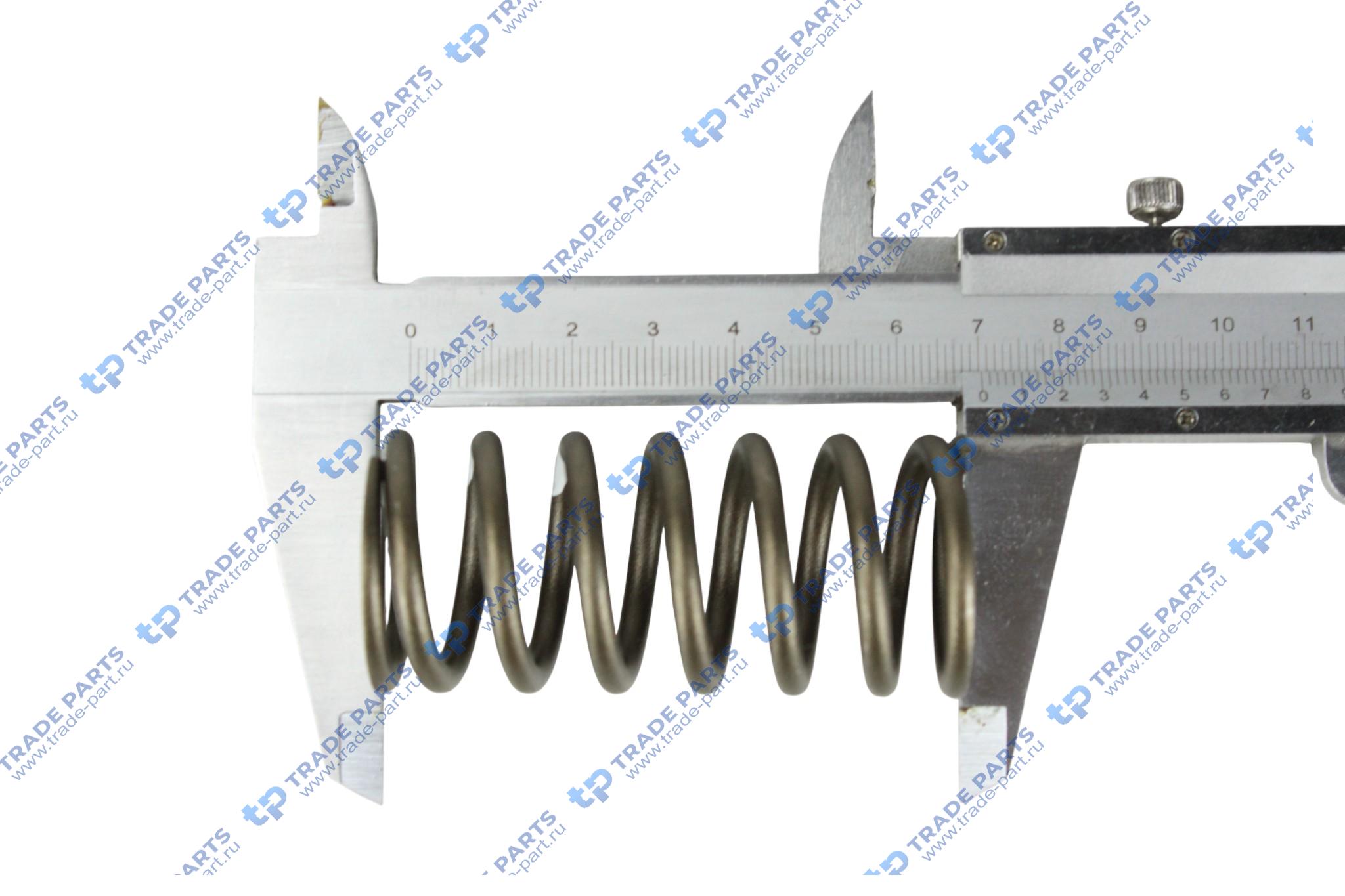 Реальная фотография пружина клапана внешняя man leon r07