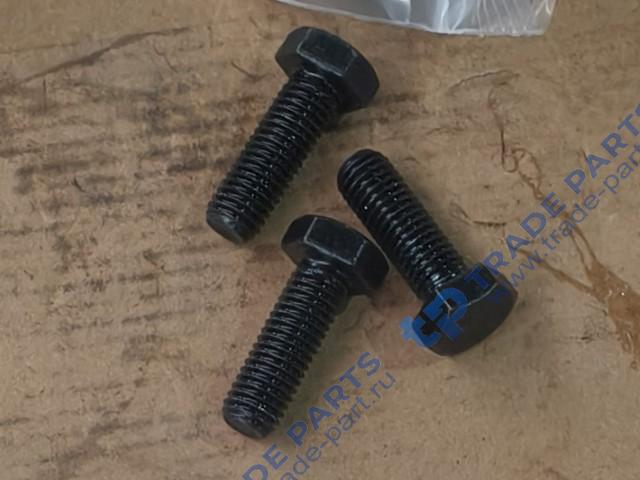 Болт M10×30