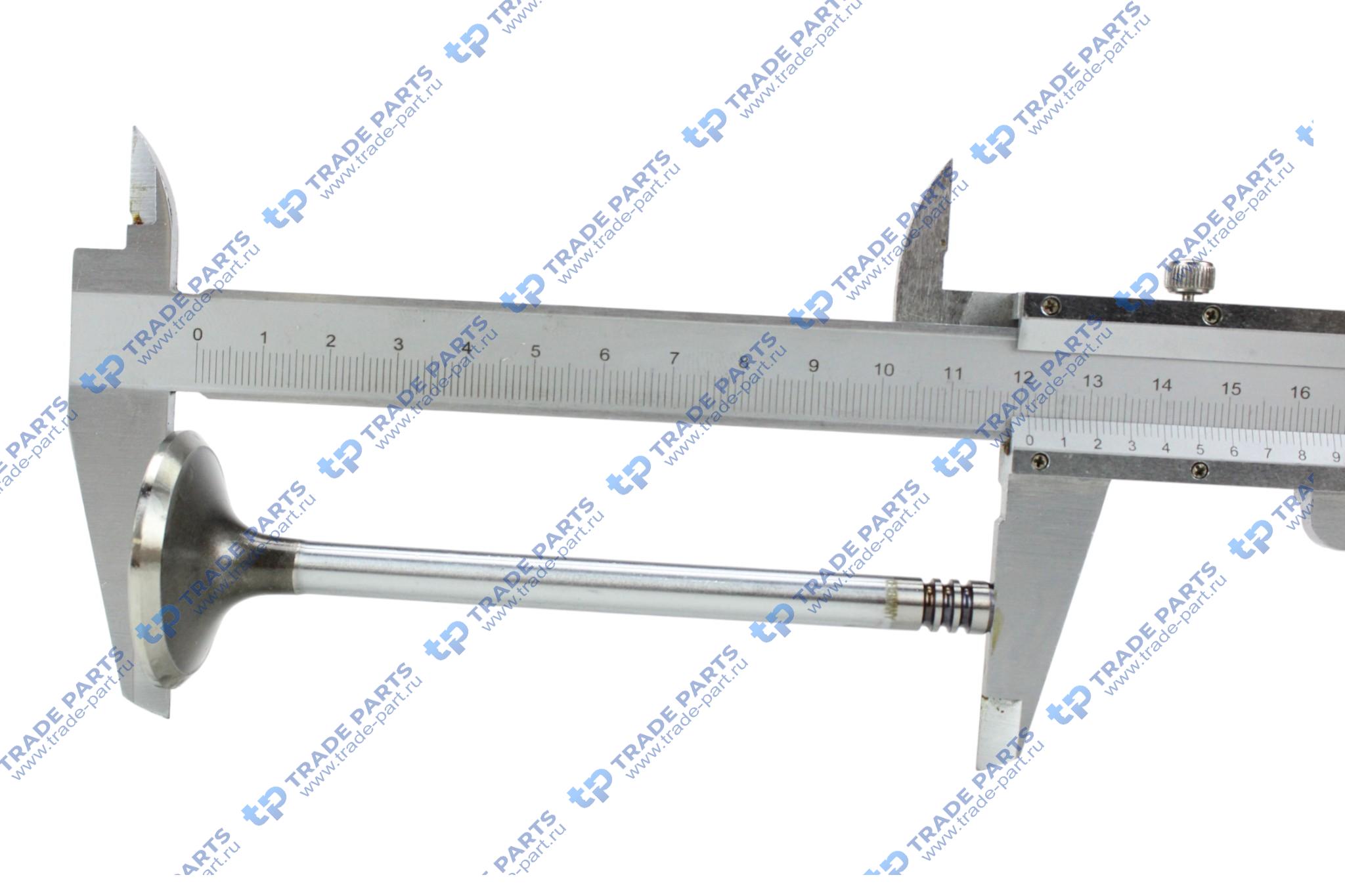 Реальная фотография клапан выпускной deutz tcd2012 8x38.8x121.2