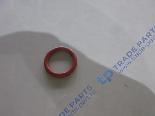 Реальная фотография кольцо уплотнительное форсунки евро3 d=24 d=18