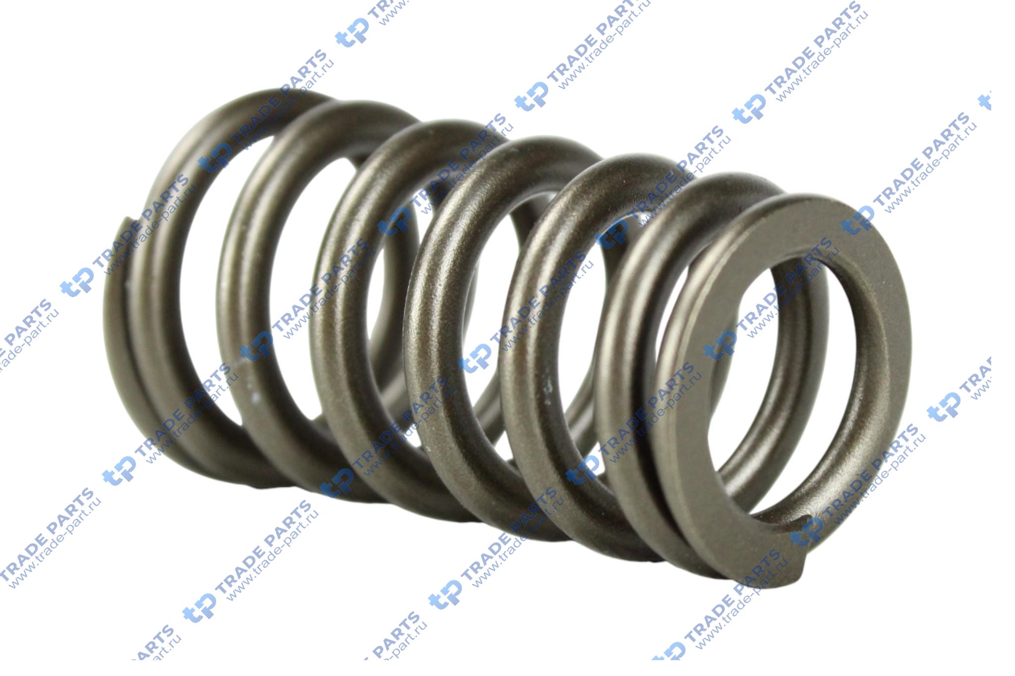 Реальная фотография пружина выпускного клапана mb om611 (a611 053 00 20) oeg