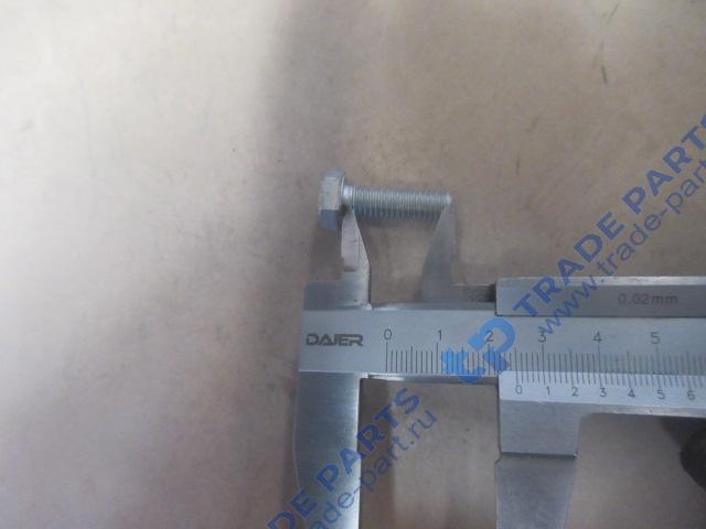 Реальная фотография болт м8*1,5*25 sitrak качество о