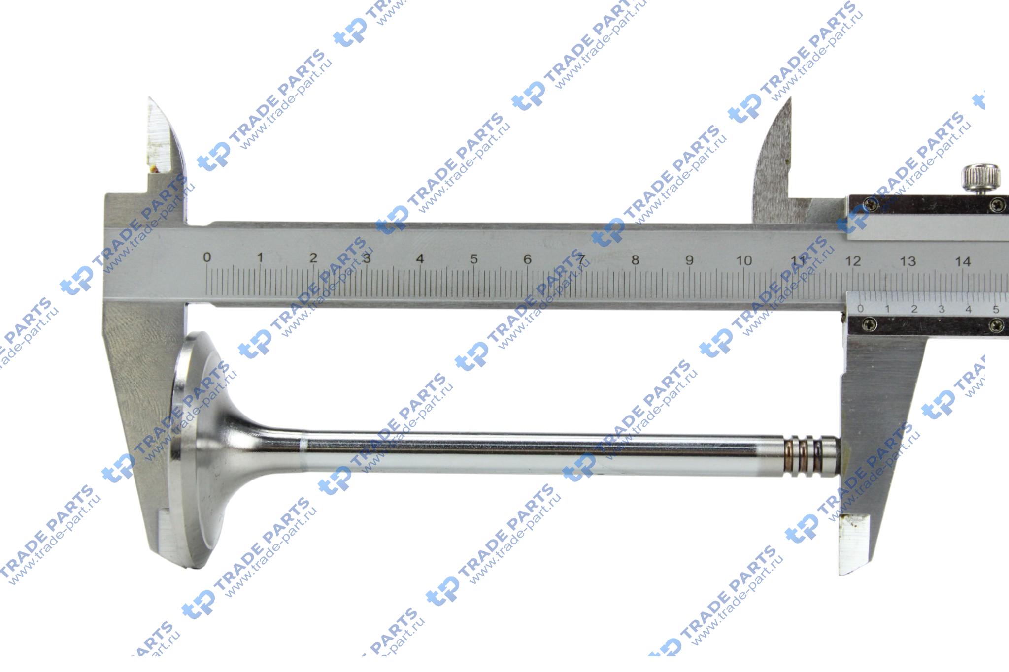 Реальная фотография клапан впускной deutz tcd 2012 l4/l6 2v 8x44.5x121.2