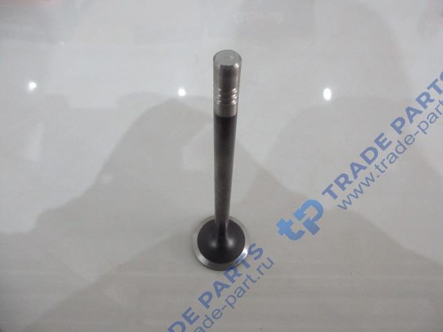 Реальная фотография клапан впускной j7