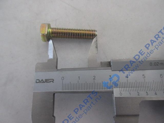 Реальная фотография болт клапанной крышки 01139584/4110000054144/4110000054171