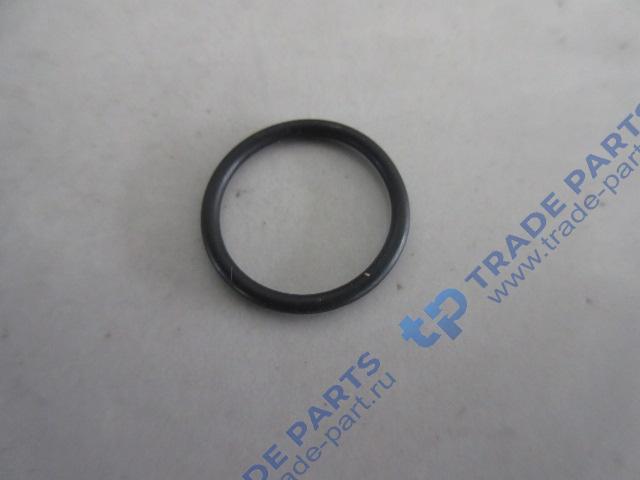 Реальная фотография кольцо уплотнительное штуцера тормозной трубки