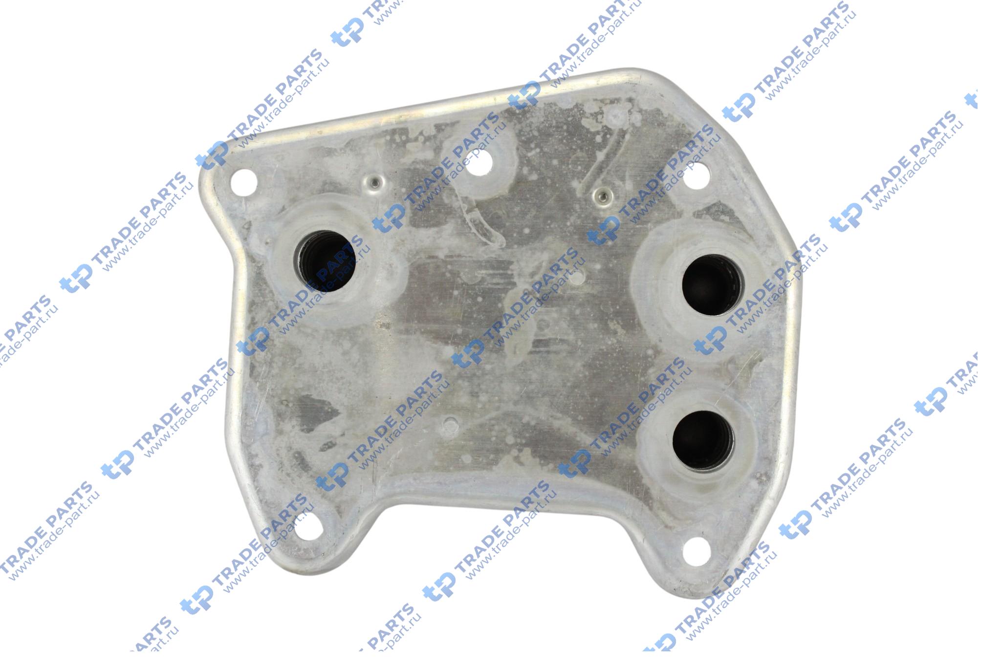 Реальная фотография радиатор масляный mb om611/612/646/647