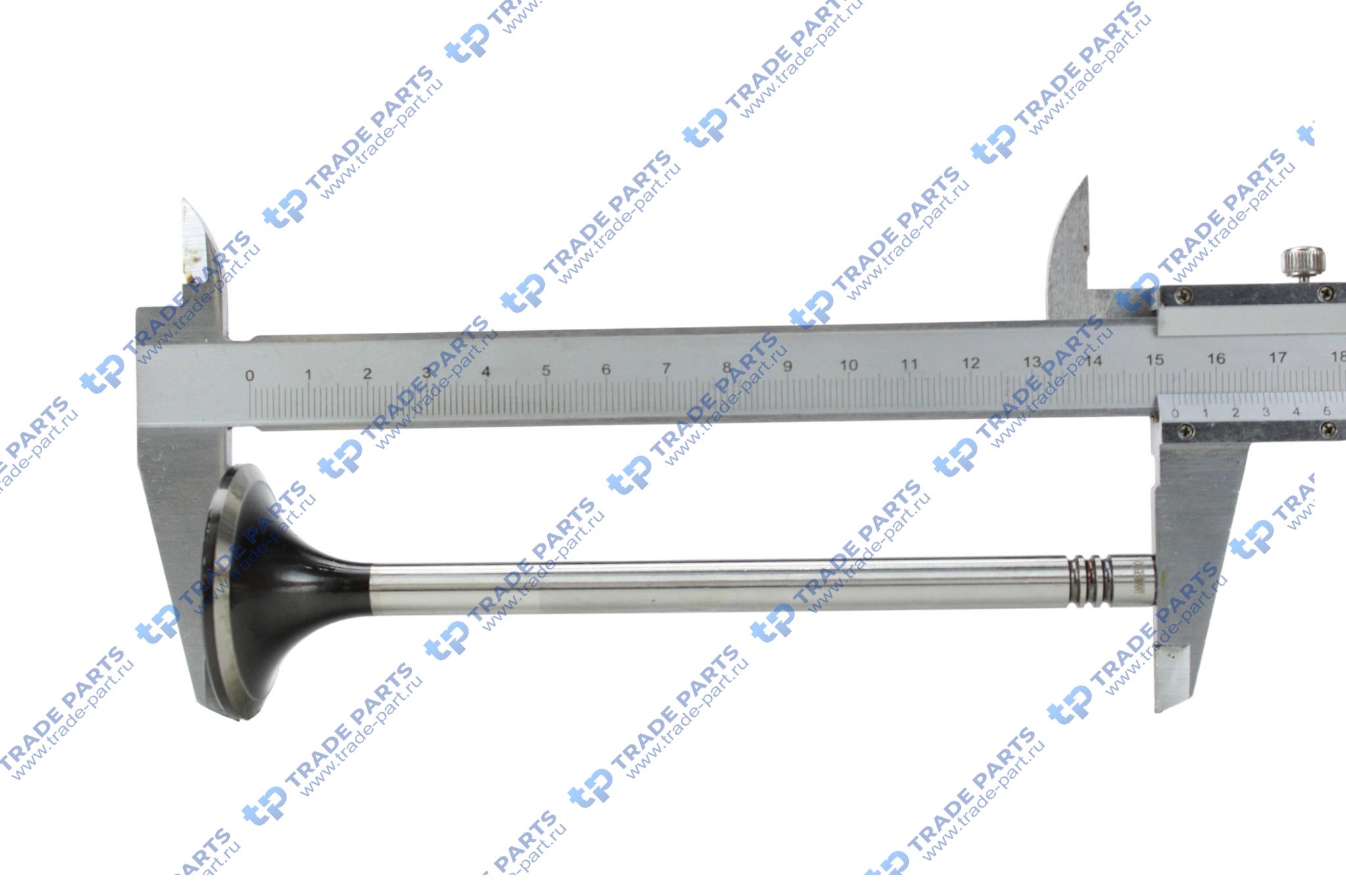 Реальная фотография выпускной клапан