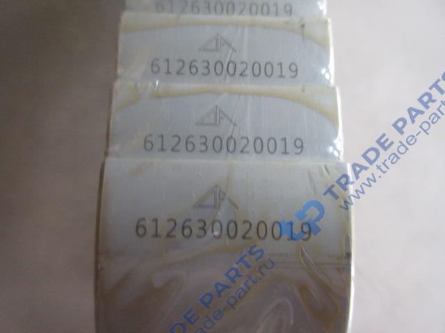 Реальная фотография вкладыши шатунные wp12 e5 (комплект)