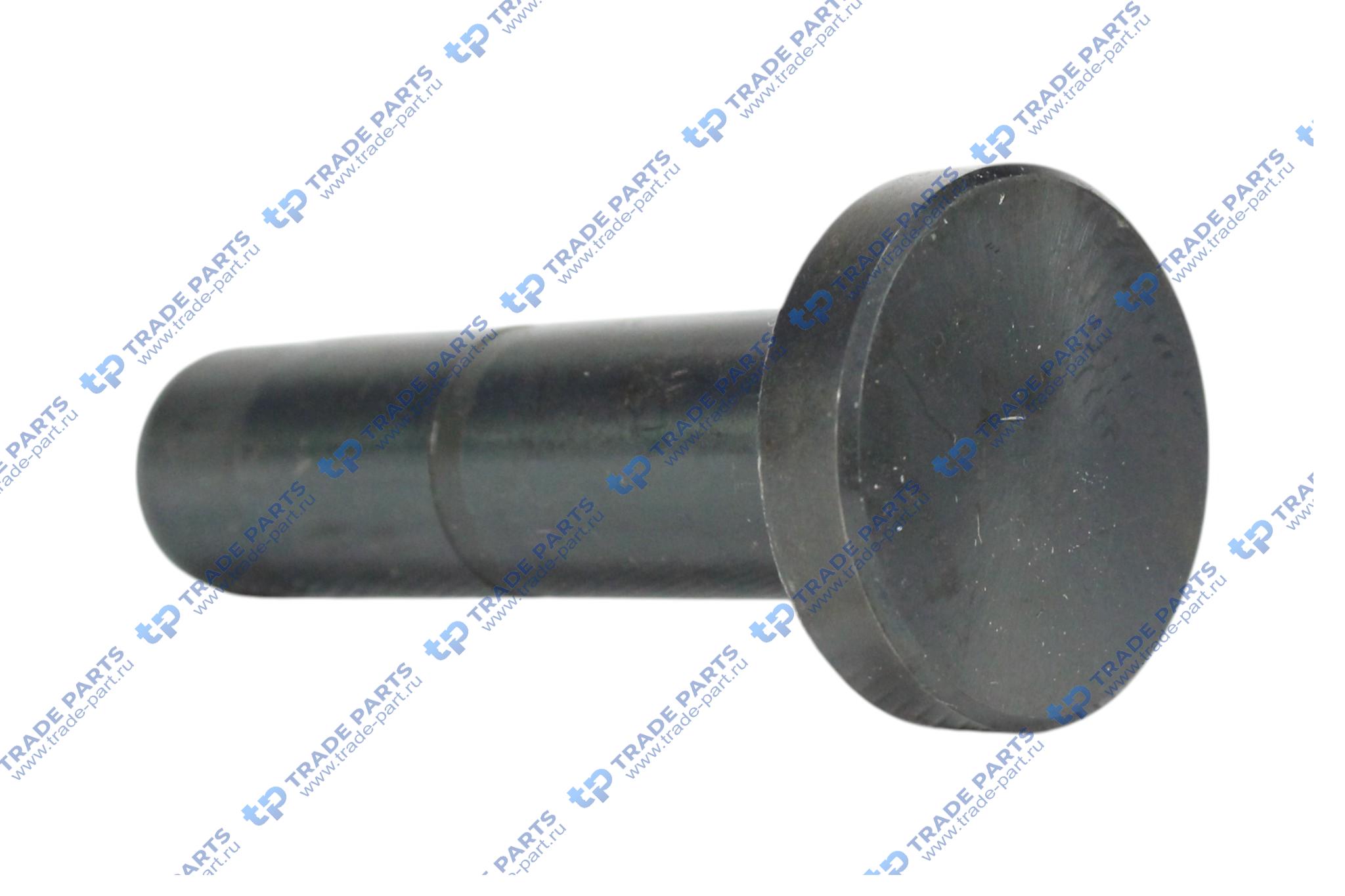 Реальная фотография стакан толкателя mb atego om904/906