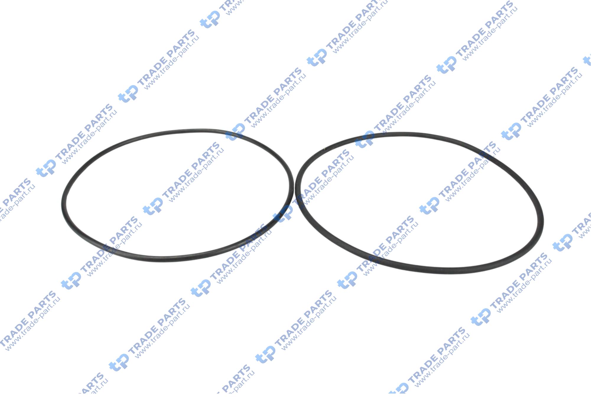 Реальная фотография комплект колец уплотнительных гильзы на 1цил. scania dc9///13, dsc12 (1шт 1730424 + 1шт 2031033) oeg