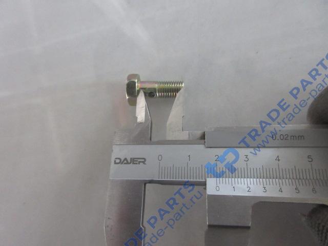 Реальная фотография болт полый топливной трубки m6 l=15