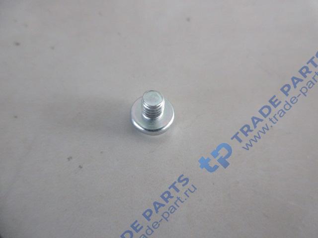 Реальная фотография винт м6х6 плоской круглой головой и крестообразным шлицем faw качество о